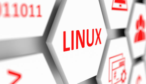 mindmajix's tweet image. A Linux build that everyone can embrace?
Yes!!! "Linux For All" could be the unifying Linux distribution that provides a common computing platform.
Know more about it in this #TechUpdate: bit.ly/358Seu3
#LinuxUpdate #LinuxForAll #Ubuntu #EasyLinux #Linux #LXDE #Mindmajix