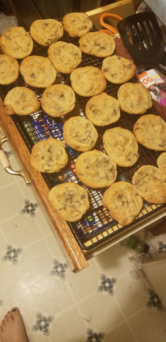 FuckDisShit29's tweet photo. Made my first ever cheesecake today!! So happy. Also me and my dad made chocolate chip and butterscotch cookies and last night I made turtles 😍❤️ #proud #baking #dadhelped https://t.co/xt8OIe9Aqs