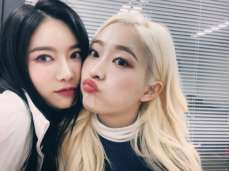 HinaPristinBR's tweet photo. 🇧🇷 — 09.12.19: Atualização da #EUNWOO no Twitter Oficial

Junto da minha grude quando saímos para o Idol Radio 😻 
A fofa 98 kappa line

©️ kr-pt hinapiabr https://t.co/HEnni3f6mf