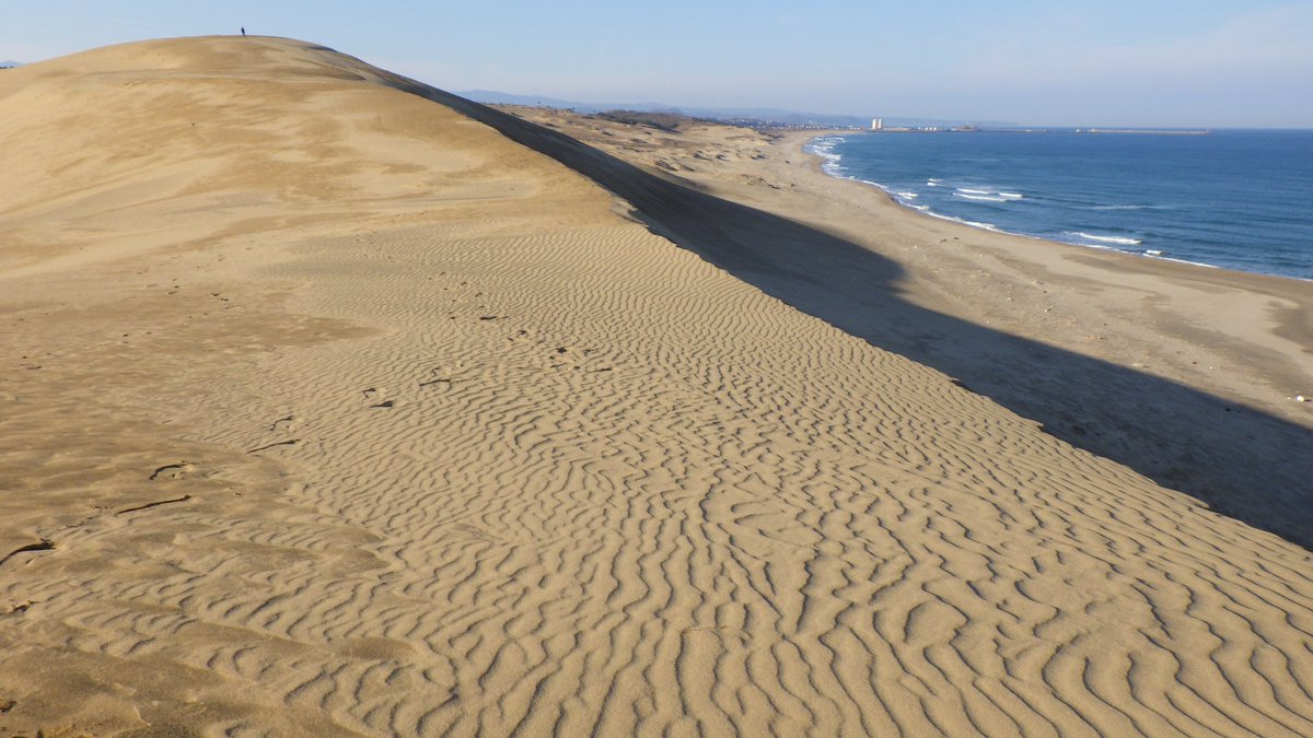 鳥取砂丘ビジターセンター 今朝の砂丘 穏やかな陽気です 砂丘内には まだまだ湿った茶色い砂が見えますが 乾いている場所には きれいな砂の波模様 風紋 を見ることができました とってもラッキー 山陰海岸立公園 山陰海岸ジオパーク 鳥取砂丘