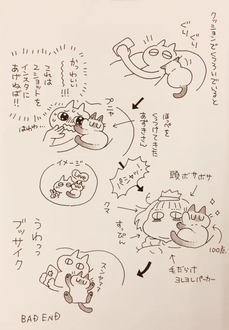 フォトジェニック
⇒  #アメブロ @ameba_official 