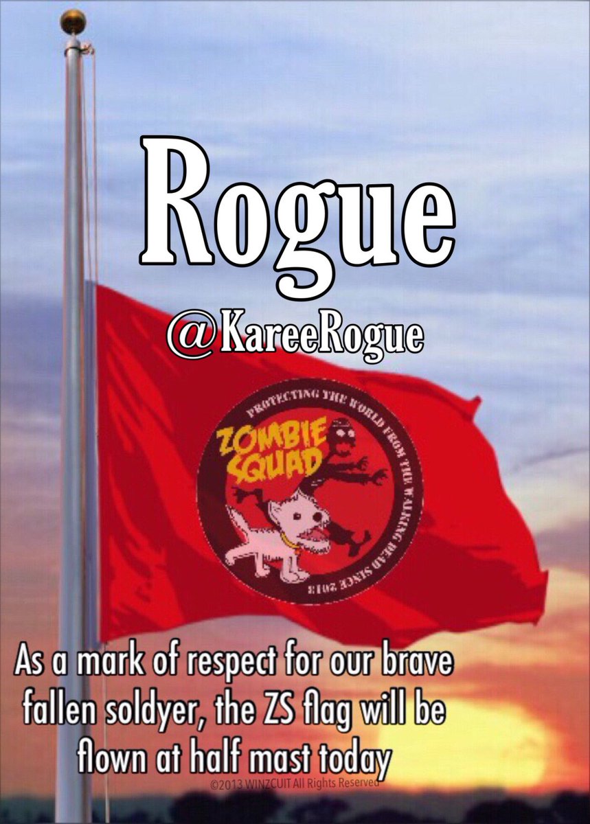 ZombieSquadHQ's tweet photo. We slowly lower our flag for our pal Rogue @KareeRogue who is now patrolling with all others who have gone before 🌈 Please patrol in her honor. Gentle hugs to her family ❤️ #ZSHQ https://t.co/QiNdLp5GUu