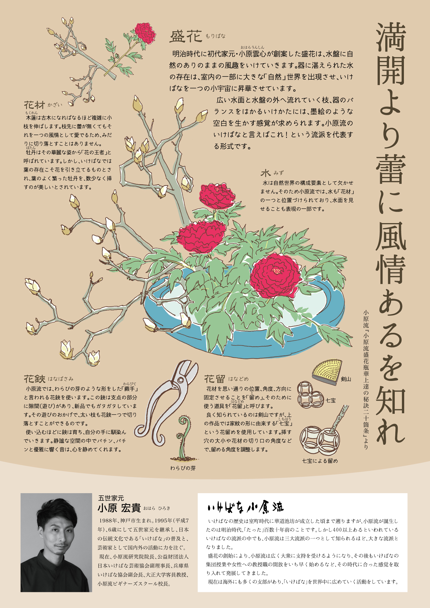小原流いけばな基礎花型教本 小原豊雲／著｜Yahoo!フリマ（旧