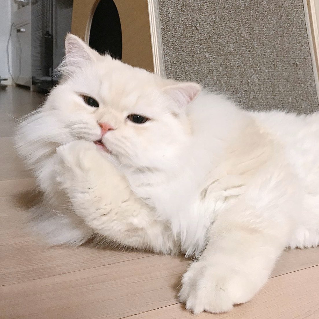 #KANGDANIEL
#HappyDanielDay
#첫눈같은_강다니엘_너의_색으로_물들다 💘