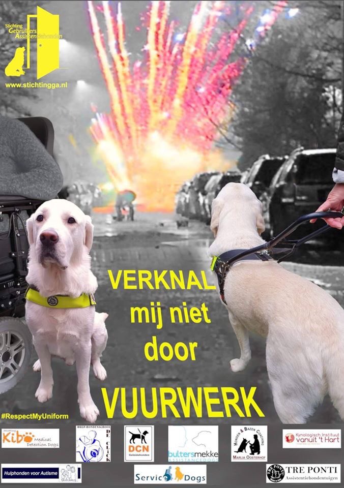 StichtingGA's tweet photo. Goedemorgen Nederland besteed deze ochtend ook aandacht aan vuurwerk en assistentiehonden. Laat de boodschap rond blijven gaan. Vuurwerk en assistentiehonden gaan niet samen. 
Vuurwerk en dieren gaan niet samen!
#respectmyuniform
#stichtingGebruikersassistentiehonden https://t.co/n6nEvhCWsk