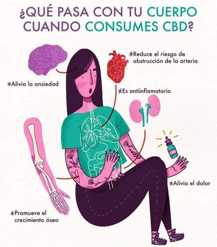 CtfoEspana's tweet photo. CBD
#trabajadesdedondequieras #emprendedores #emprende #sinjefes #sininversion #negocio #empleociudad #ofertaempleo #ofertatrabajo #tuprofesion #ingresosextra #ingresospasivos #autonomos #internet #exitoso #masdinero #tusector https://t.co/QOgVygZ7DB