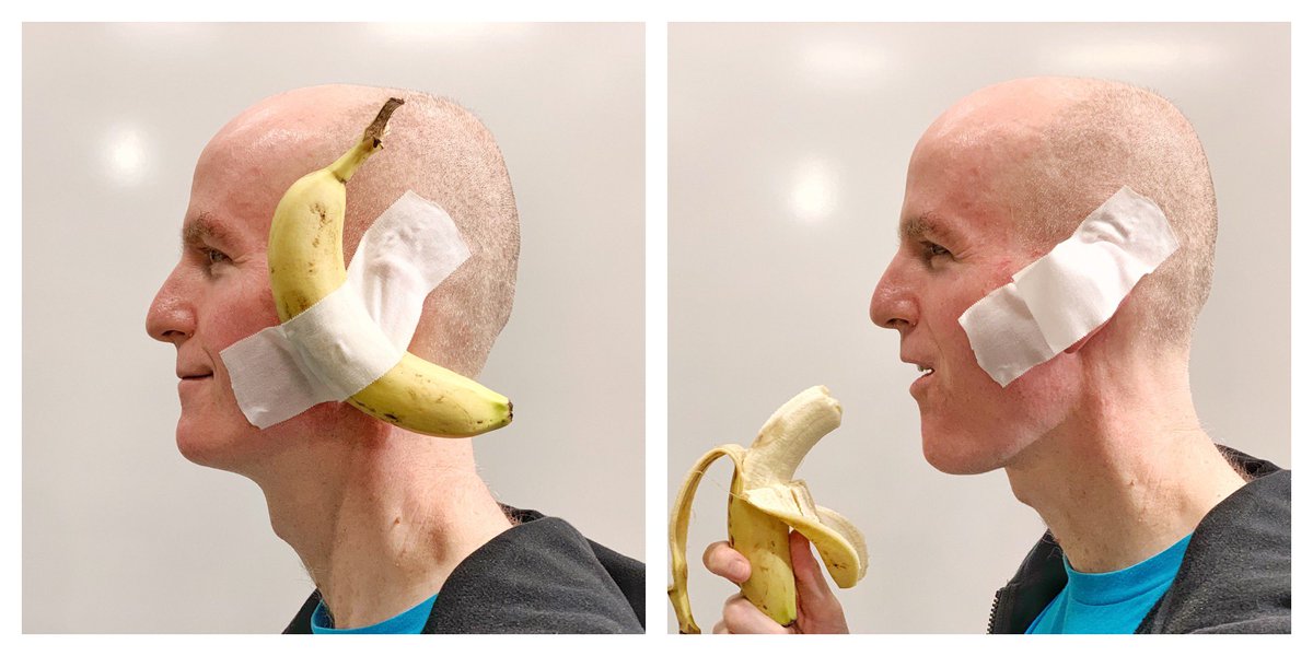 The Physical Impossibility of Art on the Head of Someone Hungry