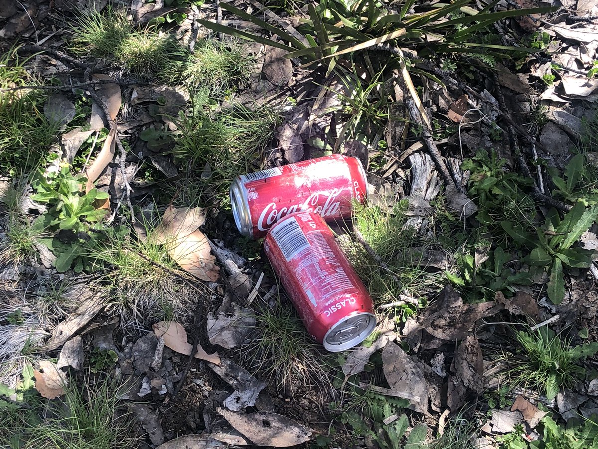 Someone lost cans of Coke in the snow on this unnamed summit and I just found them, two hours after I drank from a puddle. I AM THE KING OF THE WORLD  #AAWT