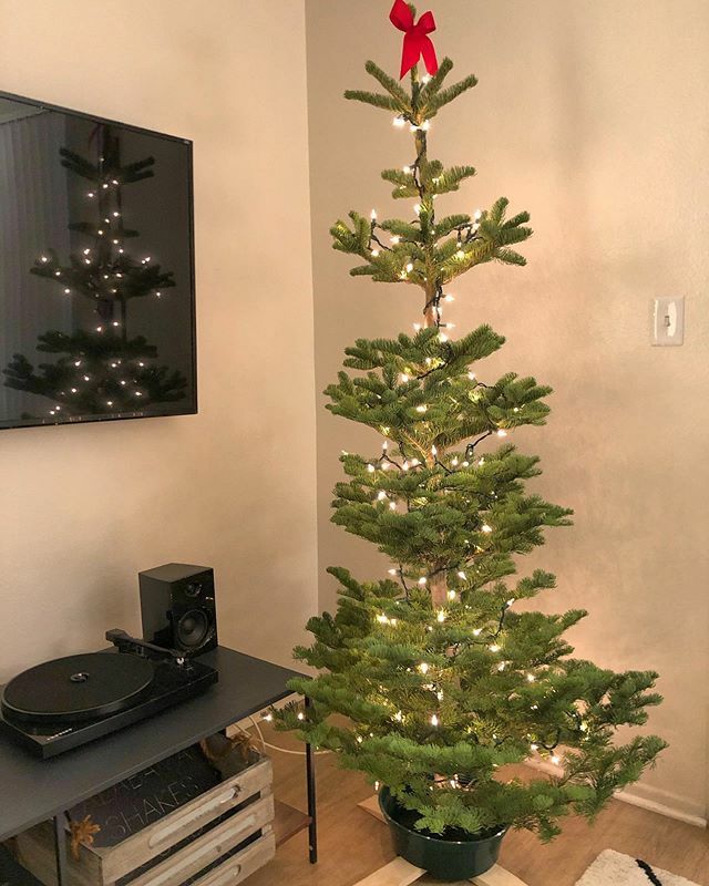 sweeterwyn's tweet photo. Took a break from the cookie marathon this weekend to get our tree and it’s safe to say I’m pretty obsessed with her. 🎄 https://t.co/uEotb0A3nY https://t.co/B6JJf3CDA2
