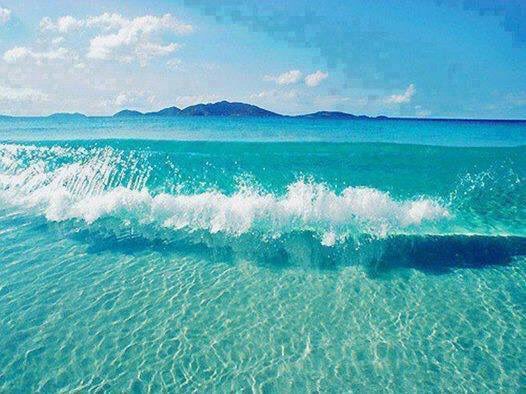 jachwich's tweet photo. Good morning 🌞 world . It's a fresh start 😉.

Spread the Love ❤️😍💙 by saying Good morning back!. https://t.co/Xz4qoFyBgG