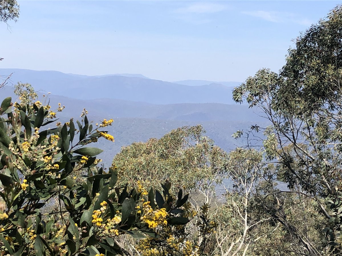 Can’t believe the scenes out of my home town Sydney today. I hope everyone is breathing OK. Ironically the same weather system that brought snow and now beautiful weather to the VIC Alps was the one that fanned the flames in NSW. I wish everyone the best. Some more VIC pics  #AAWT