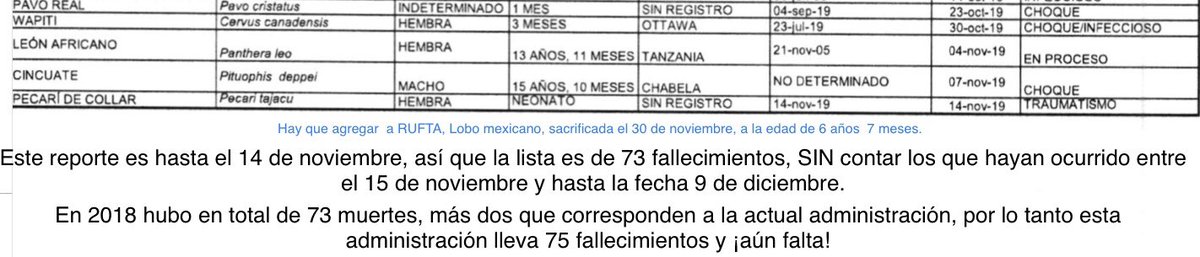 JaulasY's tweet photo. Hasta el 14 de noviembre van #73MUERTES en el #ZooDeAragonZooDeLaMuerte.

SIN CONTAR el periodo del 14 de noviembre a la fecha y lo que resta del año.
#SUPERARON ya el número de fallecimientos ocurridos en 2018.

¡Imaginen en Chapultepec!.
#TransformacionDeZoologicos https://t.co/fYdlcbM0vM