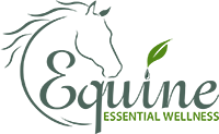 Equenergy: W·I·L·D Wellbeing tweet media