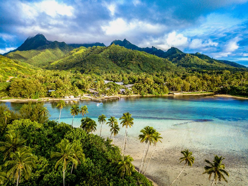 NOMADasaurus's tweet image. We were lucky enough to #travel to #CookIslands this year &amp;amp; couldn't believe just how beautiful, relaxed and culturally fascinating this archipelago in the #PacificIslands is.
#travel #travelling
Check out our video --&amp;gt;&amp;gt; bit.ly/383lkgl