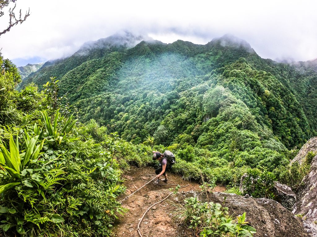 NOMADasaurus's tweet image. We were lucky enough to #travel to #CookIslands this year &amp;amp; couldn't believe just how beautiful, relaxed and culturally fascinating this archipelago in the #PacificIslands is.
#travel #travelling
Check out our video --&amp;gt;&amp;gt; bit.ly/383lkgl