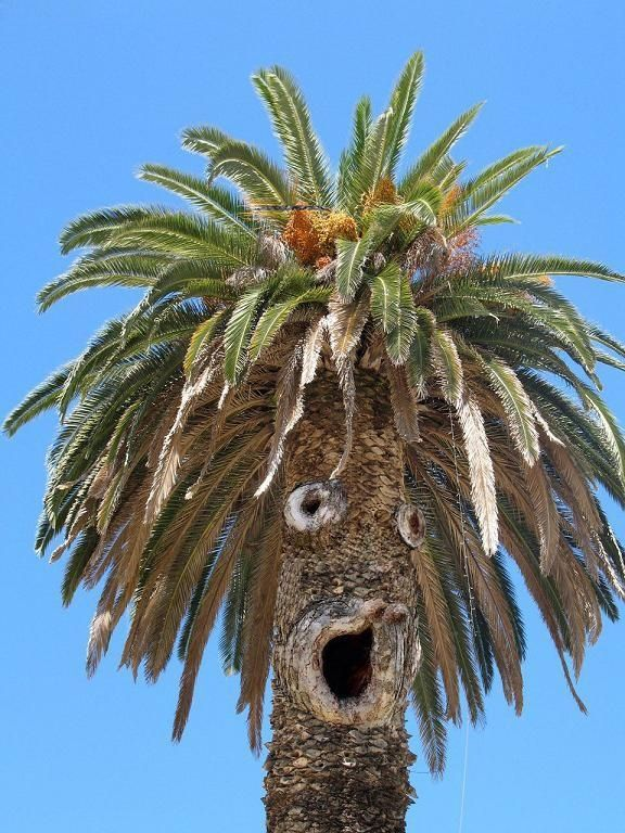 WoodBoxWorld's tweet photo. Face Palm: https://t.co/WEqsfM9S5J