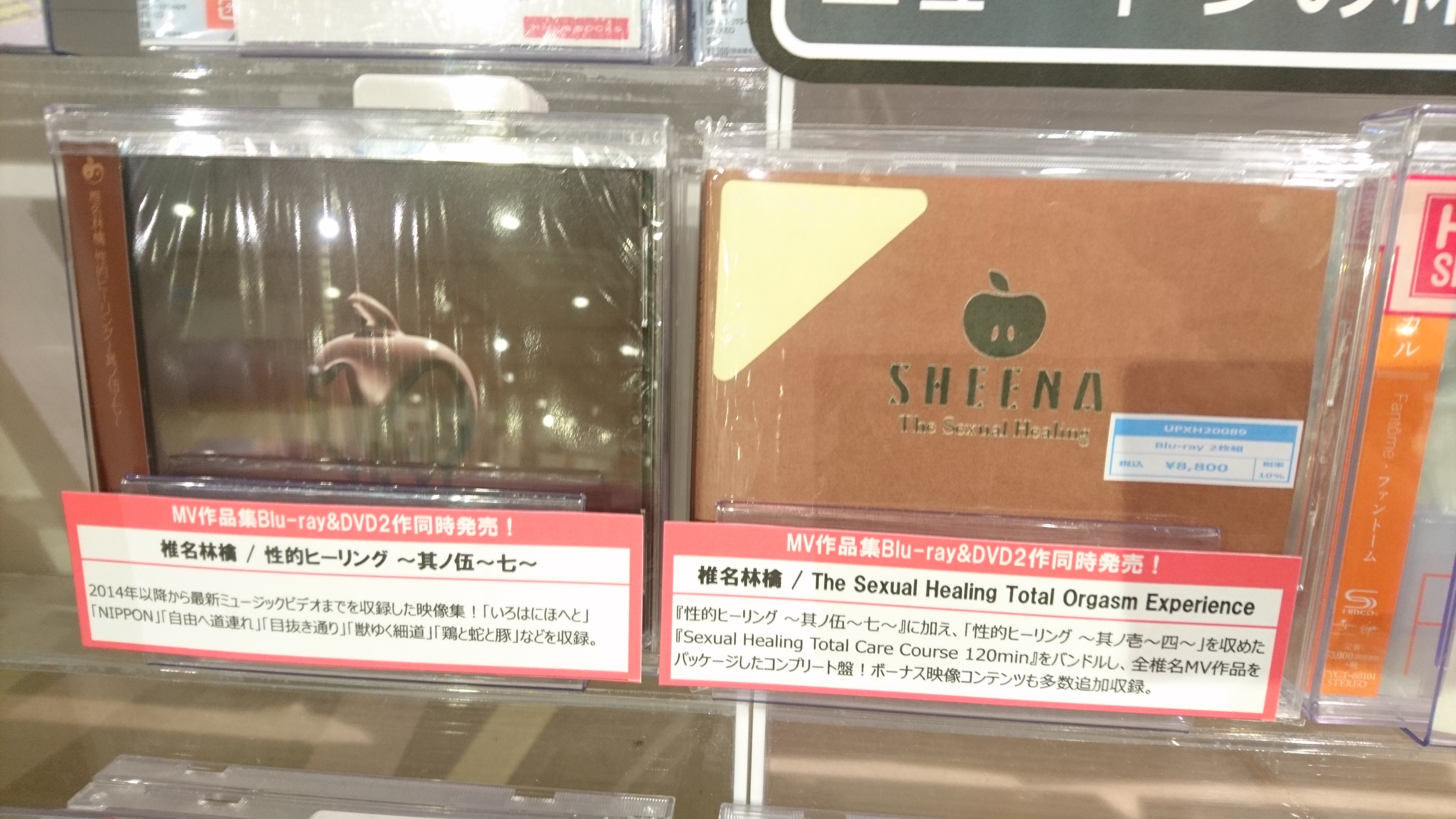 椎名林檎Sheena Ringo-The Sexual Healing Total Orgasm Ex