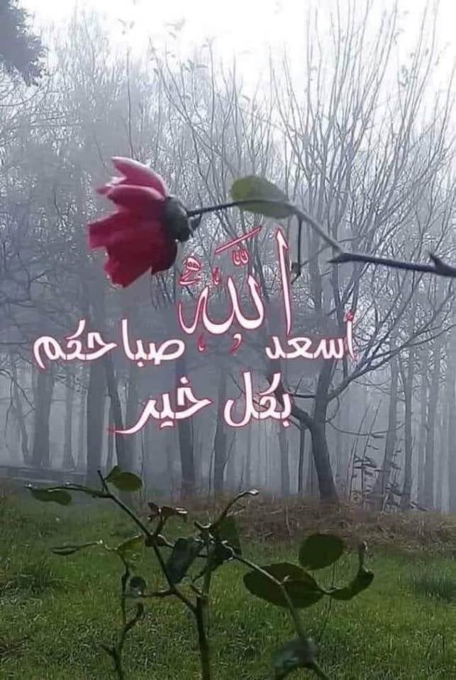💐MM💐MBS (@s_wpu1h) on Twitter photo 