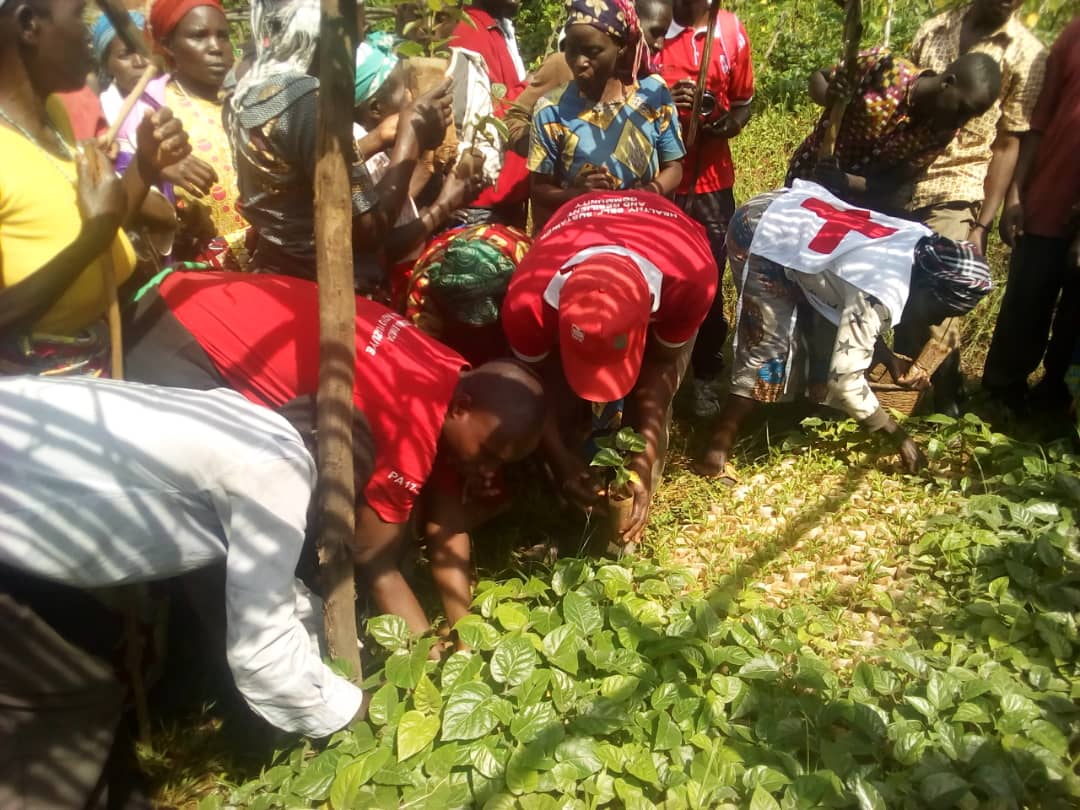 MATYAZO Sector Official tweet media