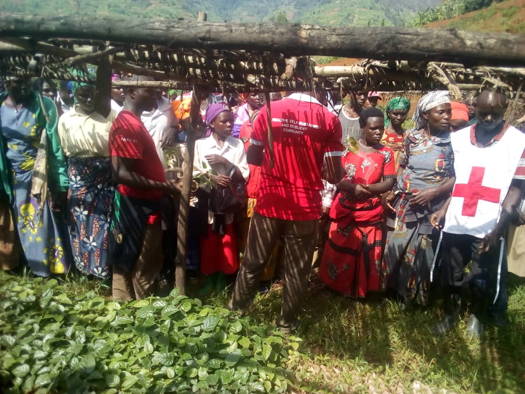 MATYAZO Sector Official tweet media