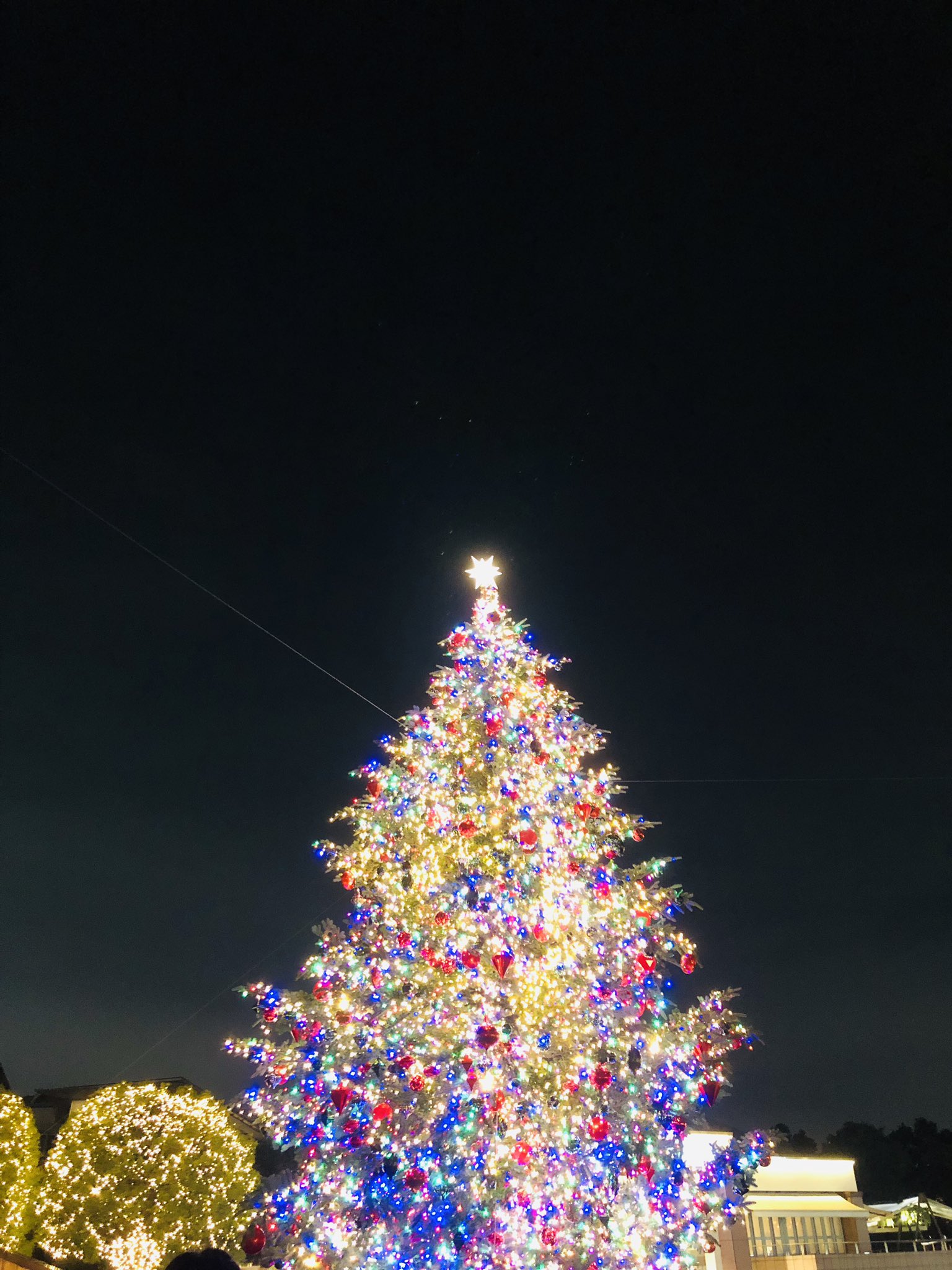 Blue 佐野元春 The Coyote Bandロッキンクリスマス 19 東京 ガーデンホール 2日続けて元春 を堪能 ロッキンクリスマスはいいライヴになることが多く それは楽しかったりかっこよかったりという印象だけど今年は何曲かでグッときた いろんなことがあっ Blue 佐野元春 The Coyote Bandロッキンクリスマス 19 東京 ガーデンホール 2日続けて元春 を堪能 ロッキンクリスマスはいいライヴになることが多く それは楽しかったりかっこよかったりという印象だけど今年は何曲かでグッときた いろんなことがあっ
