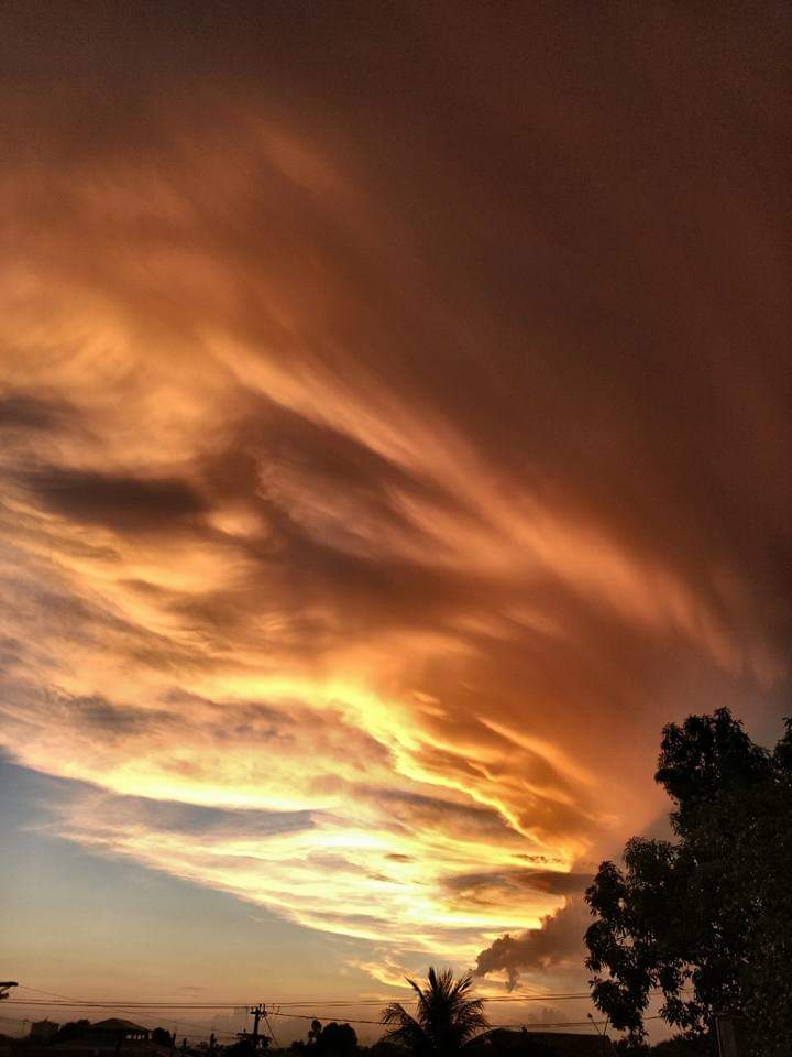 ClaudinhaNassa's tweet photo. Inenarrável foi este Pôr do Sol ☀️Espetáculo da Natureza 😍🦋
#MySunset #TheBestSunset ☀️
#TercaEliteDoSDV ☀️🦋😍
#TercaVanGuardaSDV 🎉🦋🌻
#SDV ☀️🎉🦋🌻☀️🎉🦋🌻
#sunsetmoment 🌷😍☀️🦋 https://t.co/qP5zlCE1oT