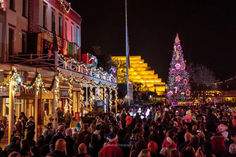 TreeDiscovery's tweet image. Want to brighten up your life a little bit? Be sure to check out the extravagant sights at the Theatre of Lights! Featuring sets designed by some of California&apos;s best lighting and sound crews, and appearances by Emmy-nominated voice actor Bill Farmer! 1l.ink/HHWBMSJ