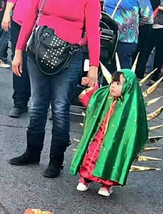 perromiad0's tweet photo. Una sandía punk https://t.co/X5hKBhSTFn