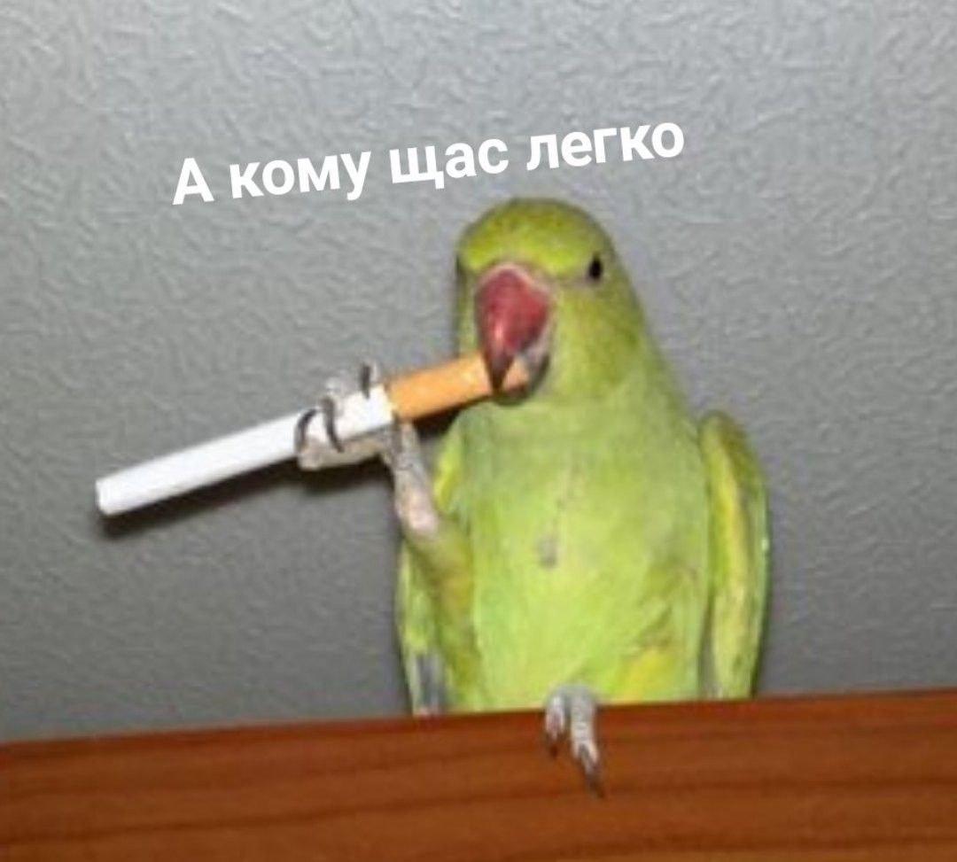 Чисто муж по жизни..