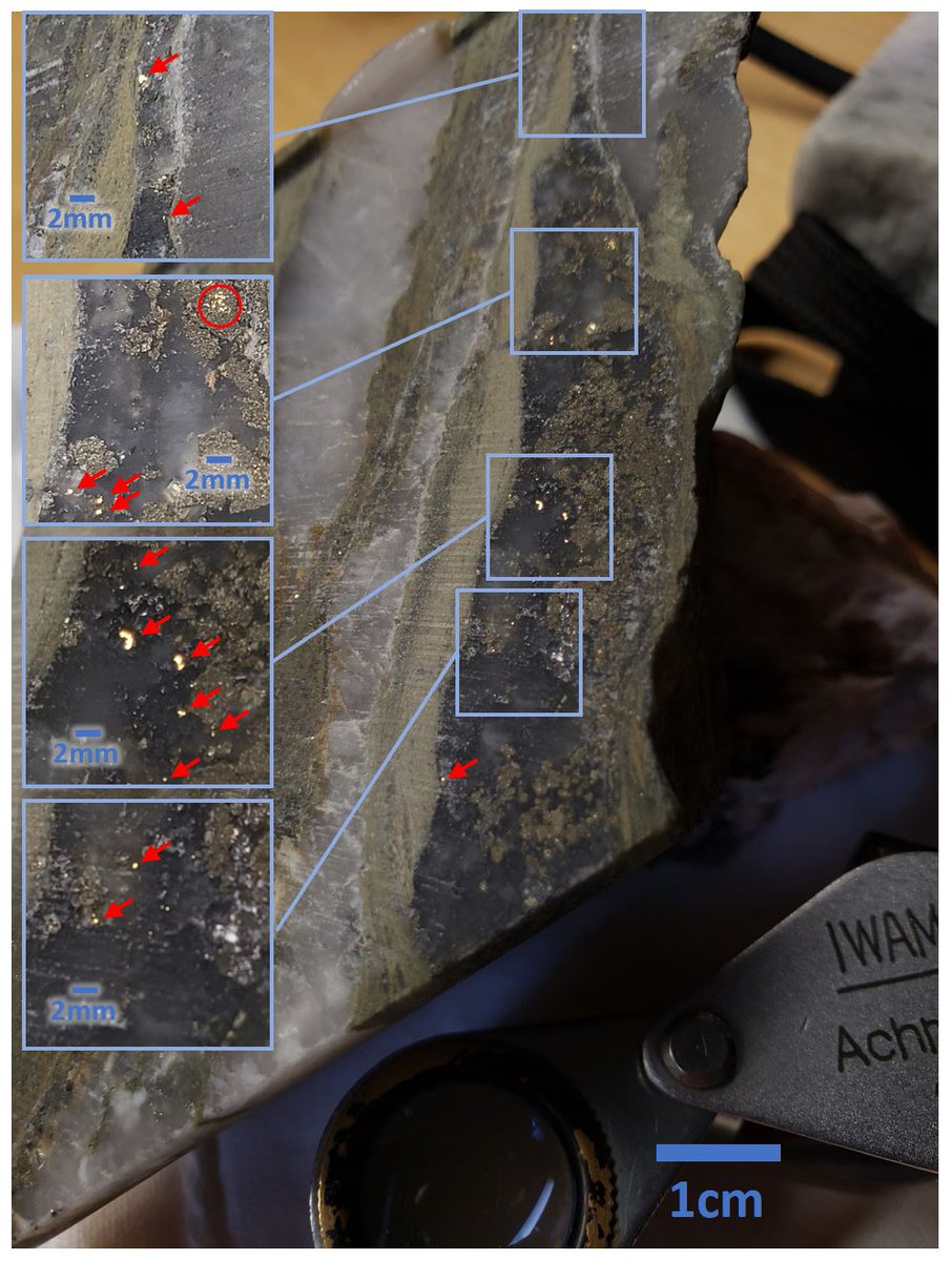 Visible gold from 2019 Drill Program at our Buckingham Gold. Higher grade intercept of gold in a dark quartz-pyrite stringer within a wider zone of disseminated quartz-pyrite-sericite mineralization in BUCK19-05 1.25m@17.45g/t Au within 14.43m@2.16g/t Au, estimated true width.