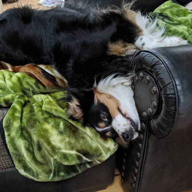 Sandy Hogan tweet media