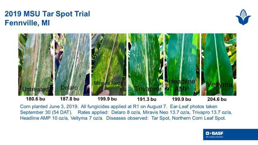david_cisney's tweet photo. The data is out on BASF’s new fungicide. These results are impressive. @BASFAgProducts https://t.co/NTELj98WZ5