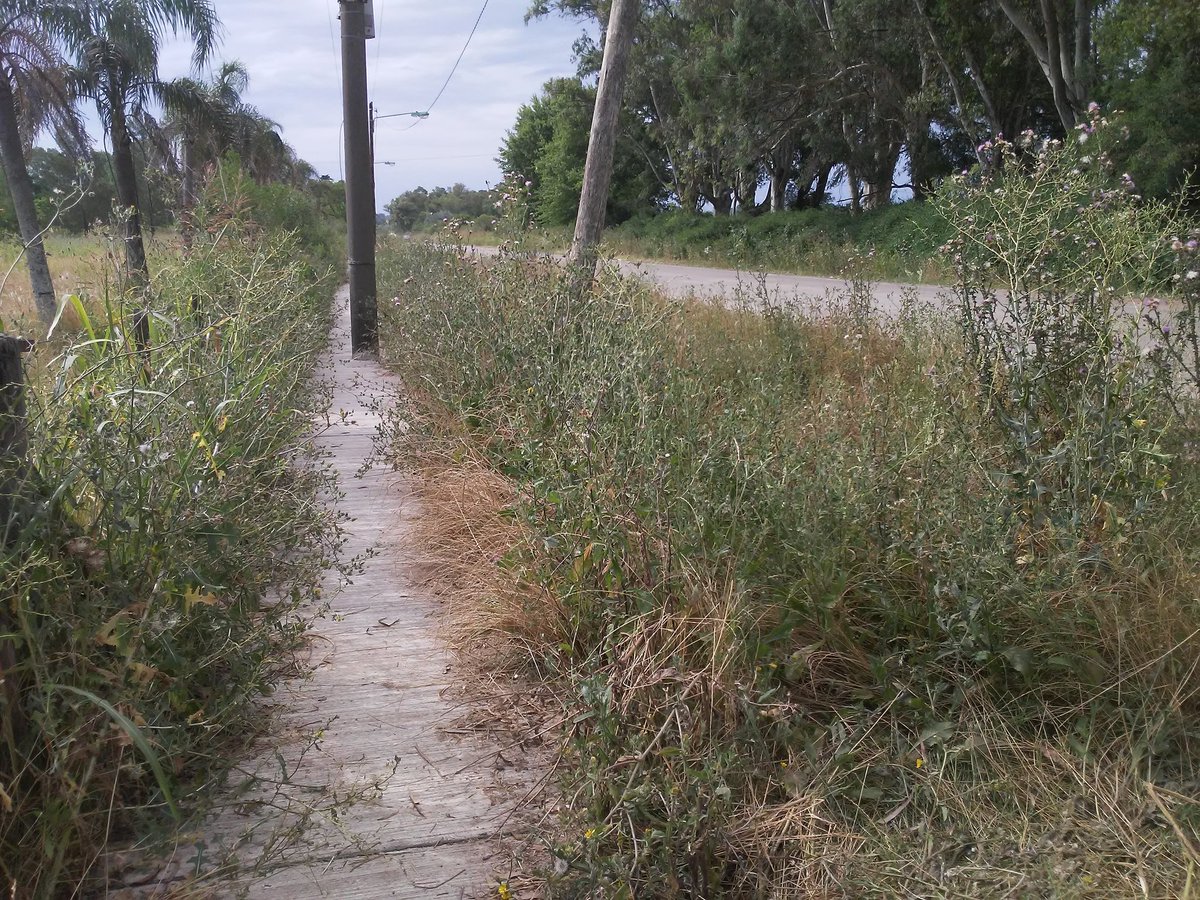 irizarexiste's tweet photo. Vayamos completando el Organigrama Municipal muchachos/as por que la vida continúa y lo principal en una gestión es justamente GESTIONAR! Quién maneja .@TransitoPilar .@AgResiduos .@DelegacinFatim1 .@SGTIIIPilar etc.? #IrizarExiste #NoAlRellenoDelHumedal #NoAlBasural de #Irizar https://t.co/SsZboQi7EU