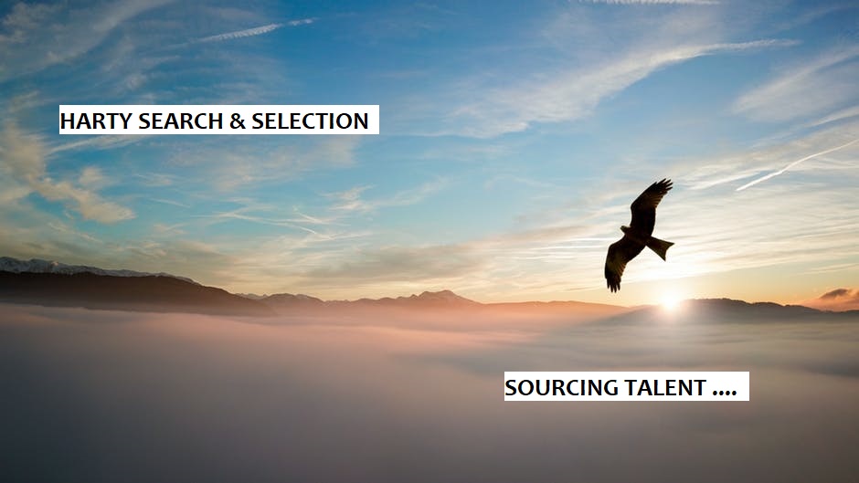 Harty_Search's tweet photo. ELECTRICAL ENGINEERING SERVICES MANAGER - MIDWEST. Top tier engineering/technology company. Great opportunity! See link below 
https://t.co/wLPAnVgjoO
#Electrical #engineering #automations #robotics #idamidwest @Limerick4Eng @EngIreThomond https://t.co/8ra5LRUhZH