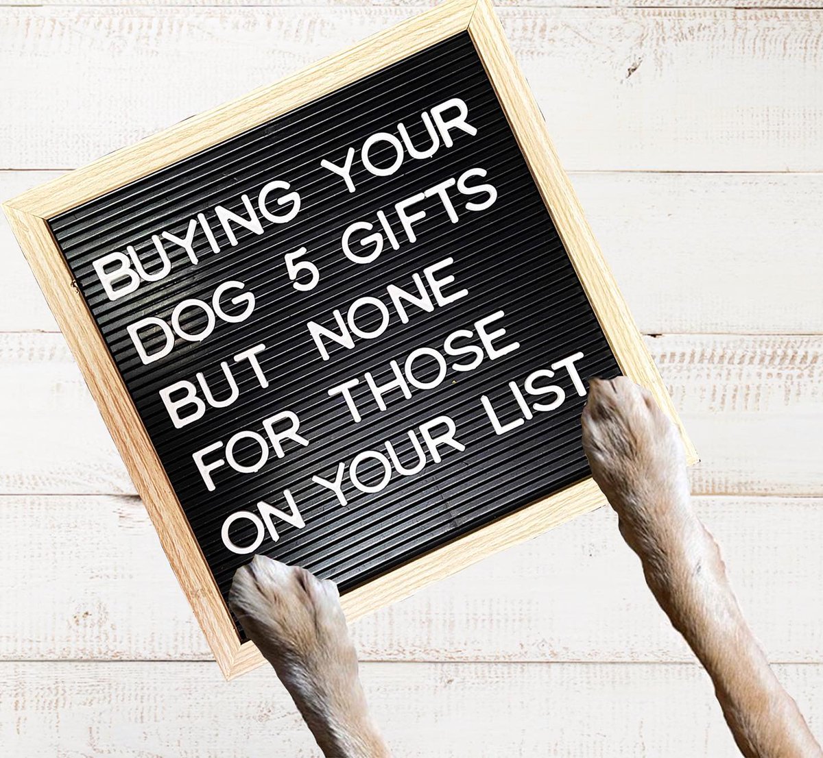 TenderAndTrue's tweet photo. Who else can relate? #dogmomproblems #dogparent #dogmom https://t.co/Cmbdpn0L7y