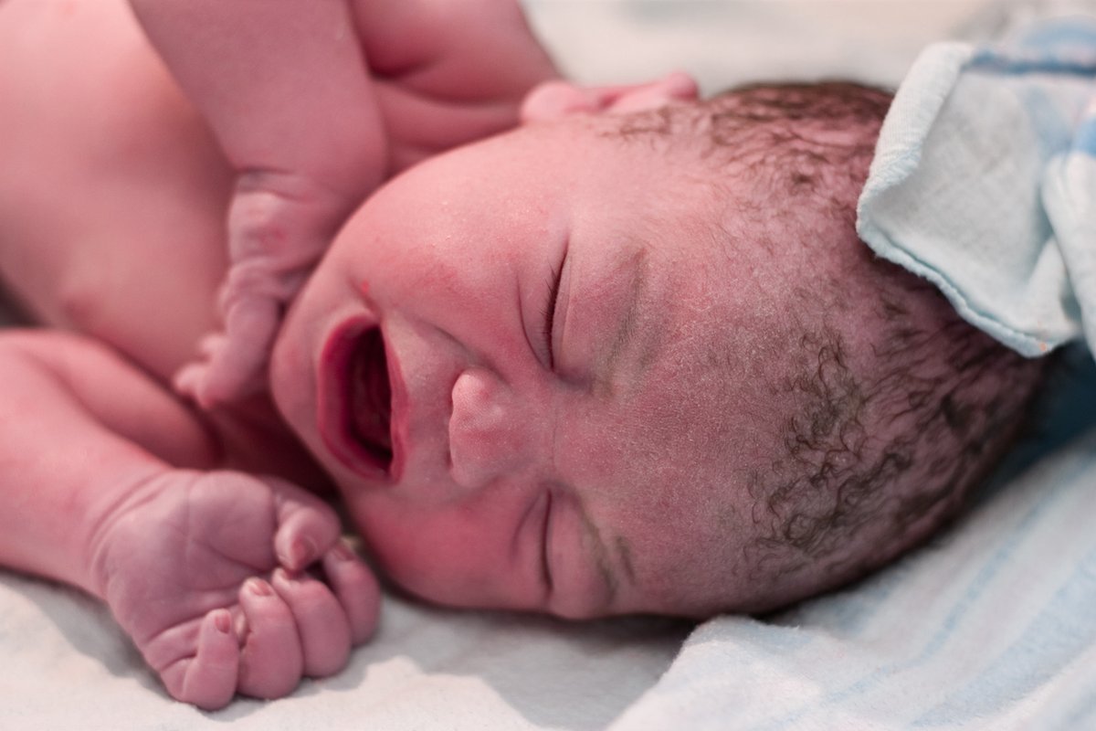 NatlDentPulpLab's tweet photo. A novel clinical trial, organized at the Children’s National Hospital (WA, USA), will investigate whether mesenchymal stem cells can be used to repair brain damage in neonatal children with congenital heart disease.
https://t.co/gCgRid4gFI https://t.co/YGgOyuEBLr