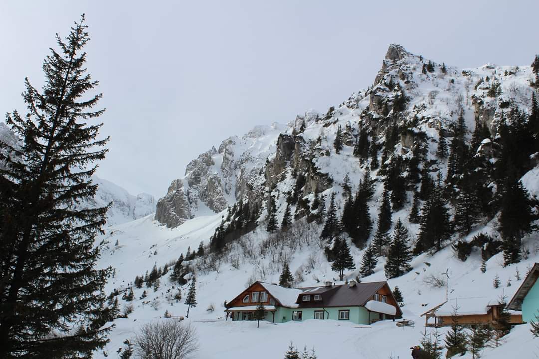 hikingisheaven's tweet photo. Who else would love to swap the desk for this breathtaking view? 😉

#hikingisheaven #hikingtrails #breathtaking #hikinginromania #bucegimountains #malaiesti #mountainlove #mountains #whenindoubtgohiking #naturephotography #winterwonderland #winter #naturelovers https://t.co/HkUCVeu1q5