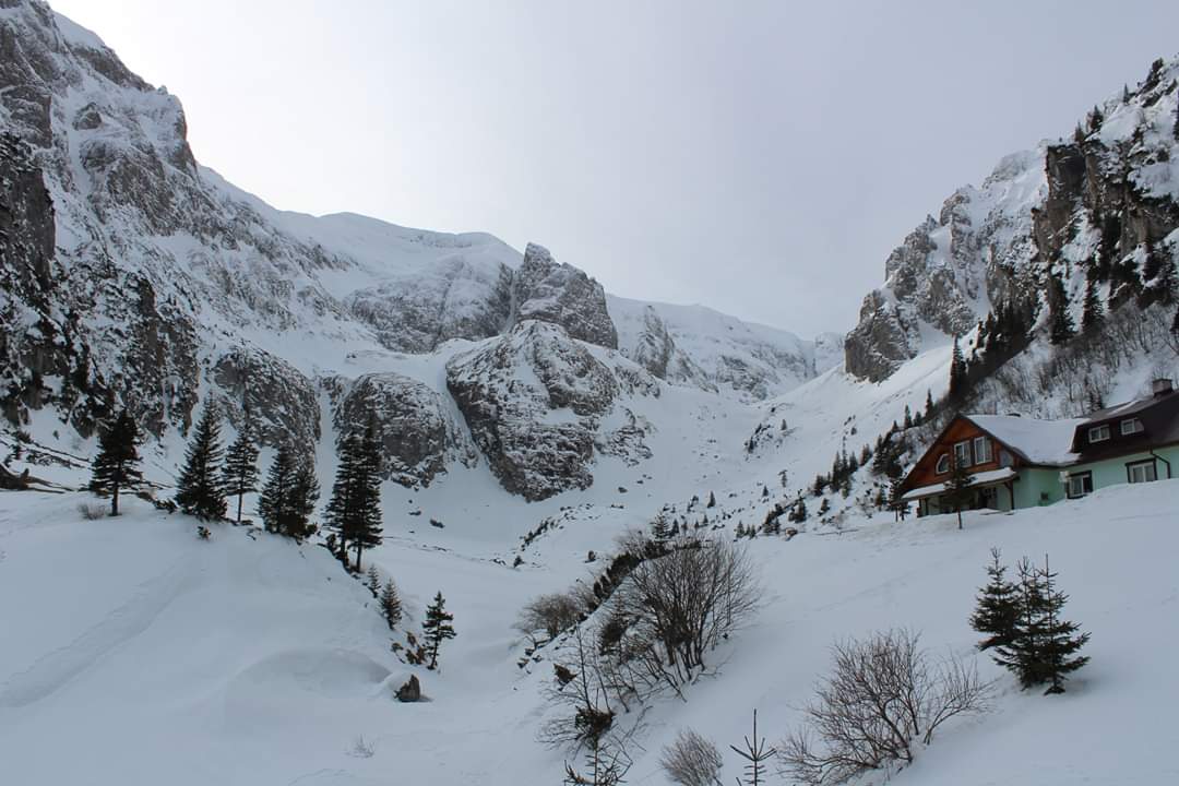 hikingisheaven's tweet photo. Who else would love to swap the desk for this breathtaking view? 😉

#hikingisheaven #hikingtrails #breathtaking #hikinginromania #bucegimountains #malaiesti #mountainlove #mountains #whenindoubtgohiking #naturephotography #winterwonderland #winter #naturelovers https://t.co/HkUCVeu1q5