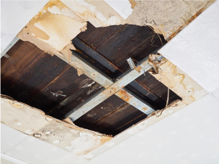AbleBuildersInc's tweet photo. Wondering what to do if your home becomes flooded by a burst pipe or heavy rains? Give us a call 24/7 at Able Builders, Inc for our Emergency Response Team to arrive within 60 minutes to your location #ablebuildersinc

https://t.co/2PPoTcddQo https://t.co/CkKupyft36