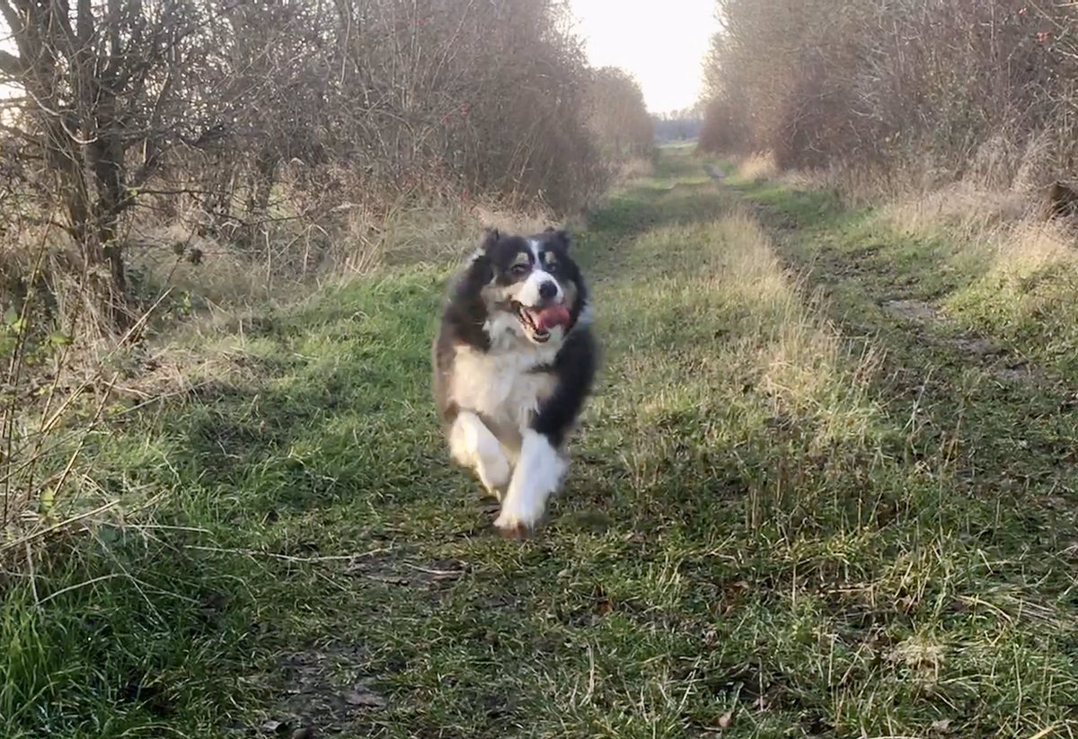 Mona-Lisa: „Wenn der Weg schön ist, dann frag Dich nicht, wohin er führt.“