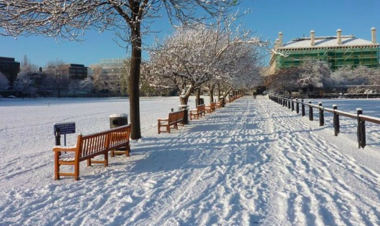 tcdglobal's tweet photo. Day Ten - "You know it's Christmas at Trinity when you hear students playing Christmas songs around campus as everyone prepares for the holidays" #TCD12days ##StudyAtTrinity 🎄🌟🎼 @TCDGlobalRoom @TCDTrinitones @trinitybelles @TCDSingers https://t.co/AtsxTm3O2o