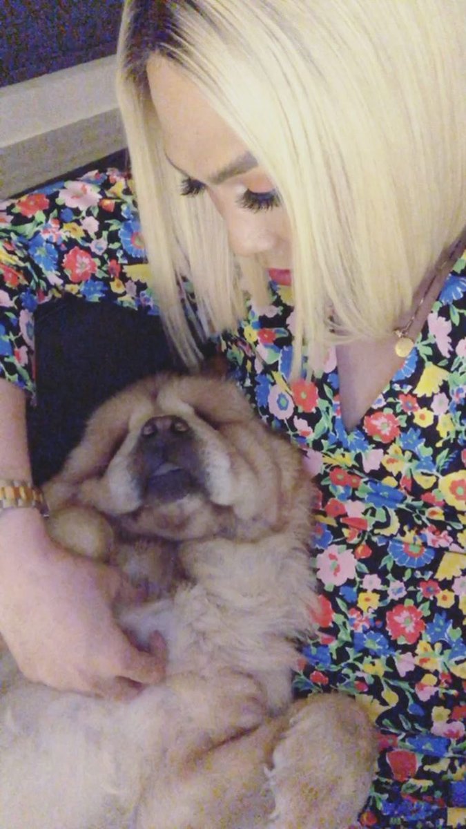 chengxhua's tweet photo. i can imagine vice filming chip in who’s cuddling with her belly to make lambing sa baby hehehe 🐶💖🤰🏼 https://t.co/BIsVi8wswr