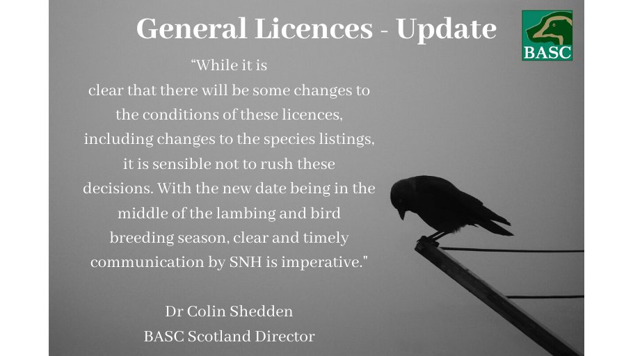 BASCScotland's tweet photo. π£@nature_scot has confirmed that the expected changes to three #GeneralLicences in #Scotland will now not be made until the 1st April 2020.
This means that current general licences will be valid for an additional three months, avoiding short notice changes.β
@BASCnews https://t.co/sXDpLC0Evt