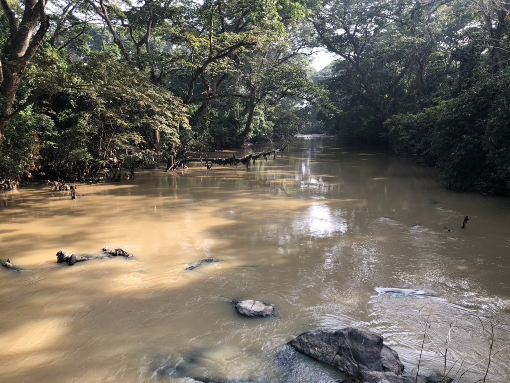 Fed Min of Info & Nat’l Orien tweet media