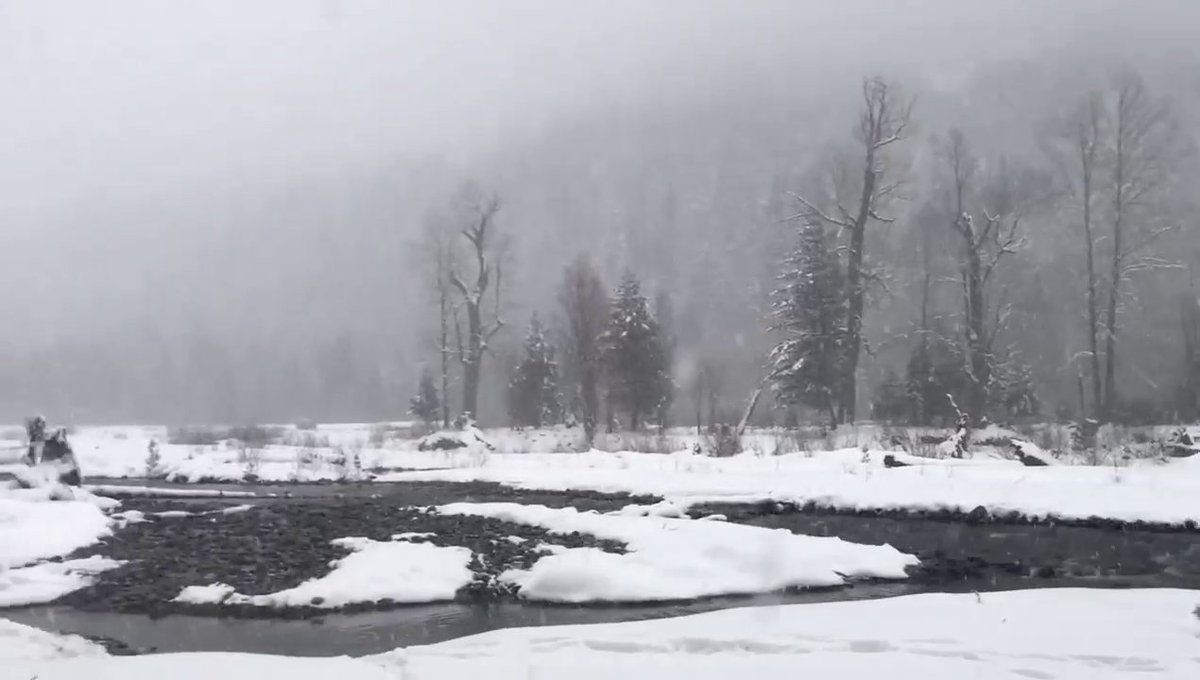 kumratvalley's tweet photo. #Snowfall2019 at #kumratvalley Dir Upper KP.
@PakistanNature @DrSajjadahmadk3 @Amazing_pk @TravelPakistan_ @siyaltunes https://t.co/DAunmE2fHR
