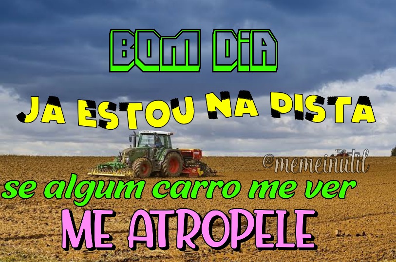 memes inuteis para salvar sua vida inutil tweet media