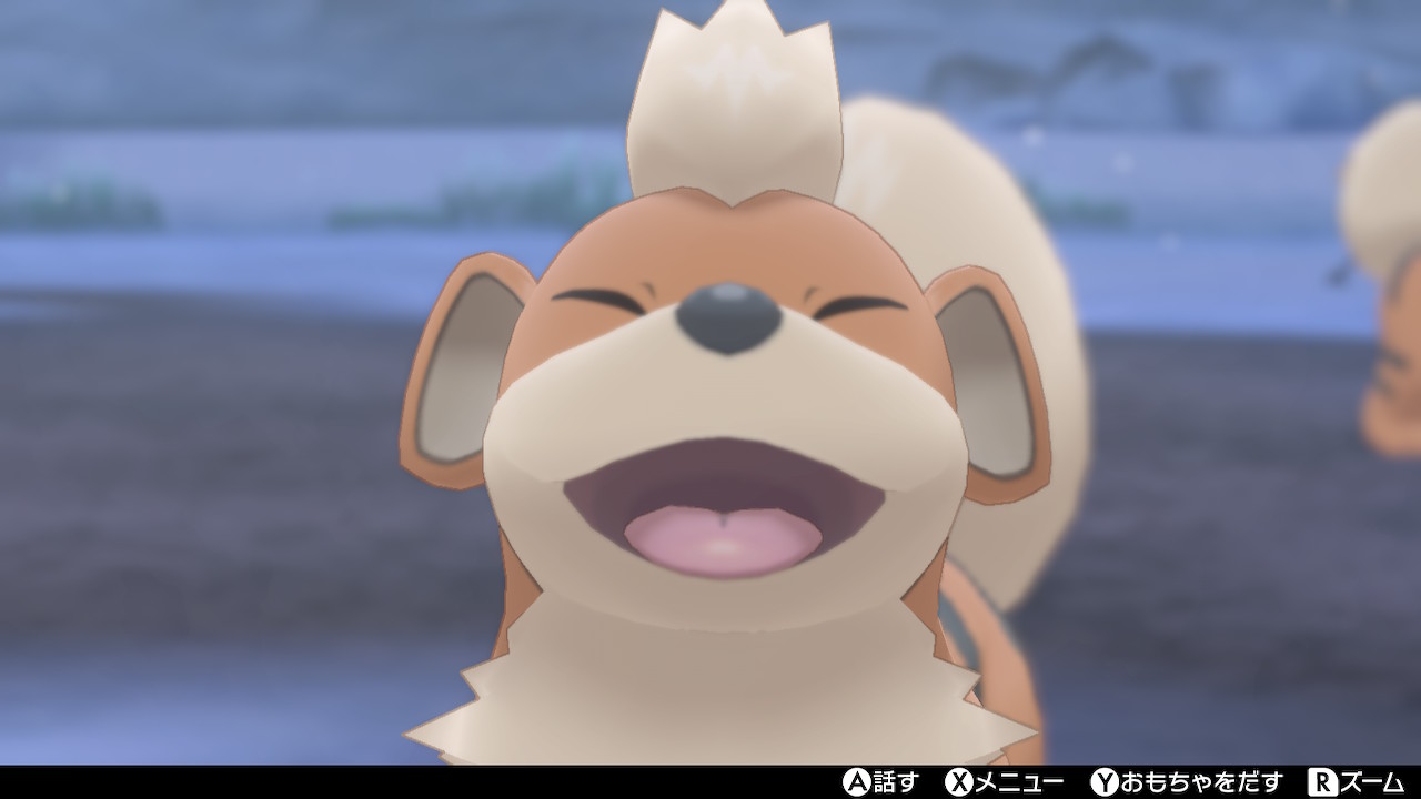 高橋そら 님의 트위터 ガーディキャンプしたらかわいすぎた ポケモン剣盾 T Co O1qdatvrvy 트위터