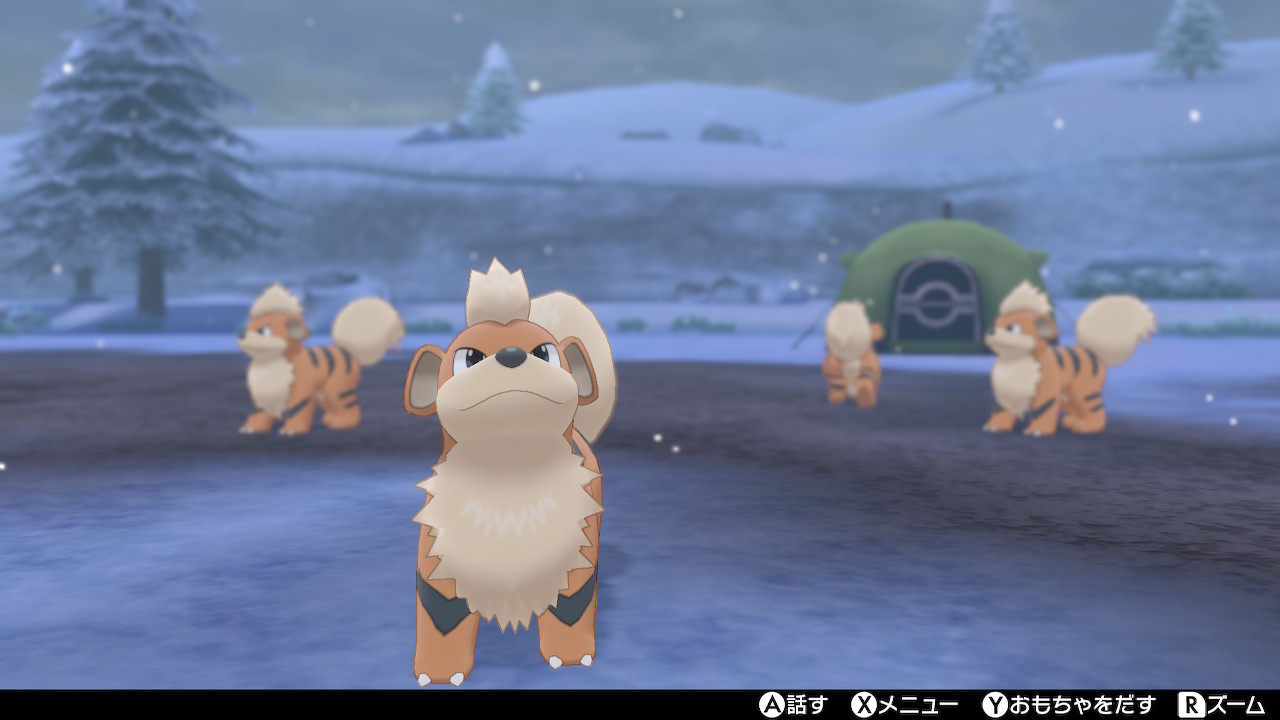 高橋そら 님의 트위터 ガーディキャンプしたらかわいすぎた ポケモン剣盾 T Co O1qdatvrvy 트위터