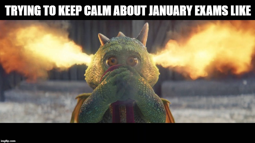 UniversityofLaw's tweet image. Trying to keep calm about January exams during the Christmas break like... #LawStudentProblems