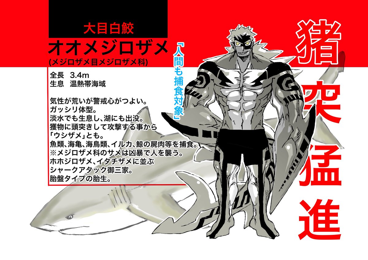 サメ軍擬人化⑦
ヤバイサメさん達です。
オオメジロをもっといかつくしたかったので上げ直し

#稲羽事変
#サメ 